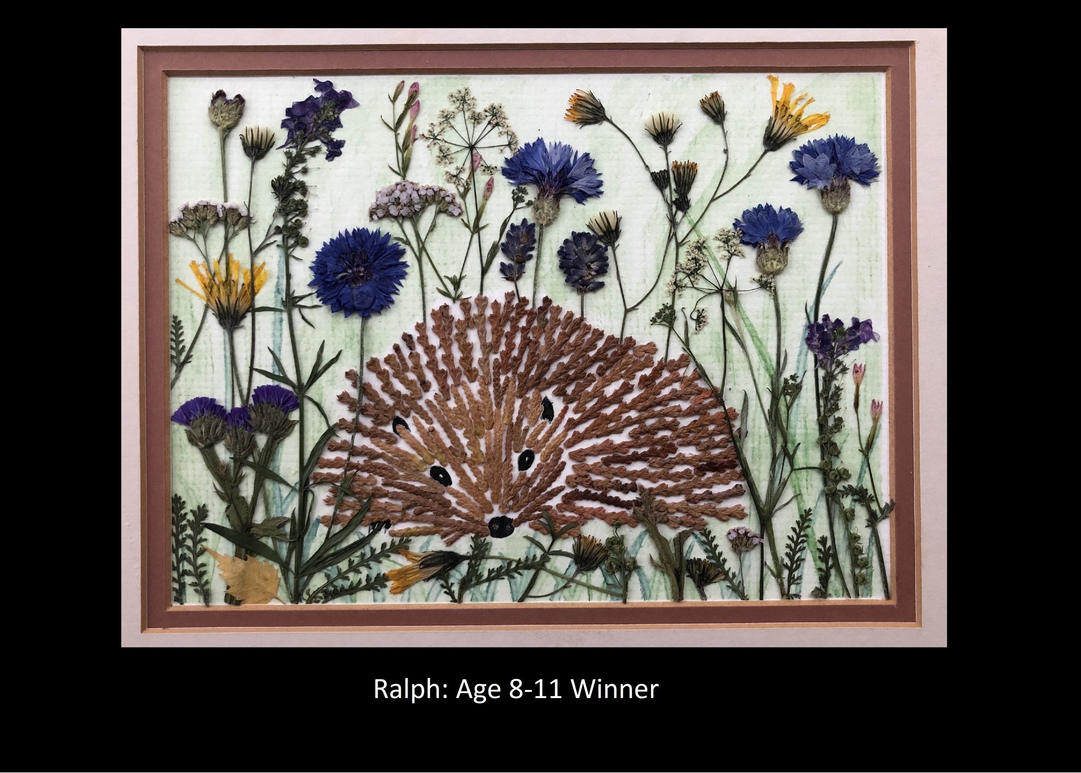 Ralph 8-11 Winner